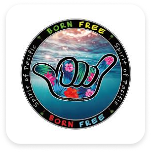 Hyper U Païta - logo de la boutique Born Free
