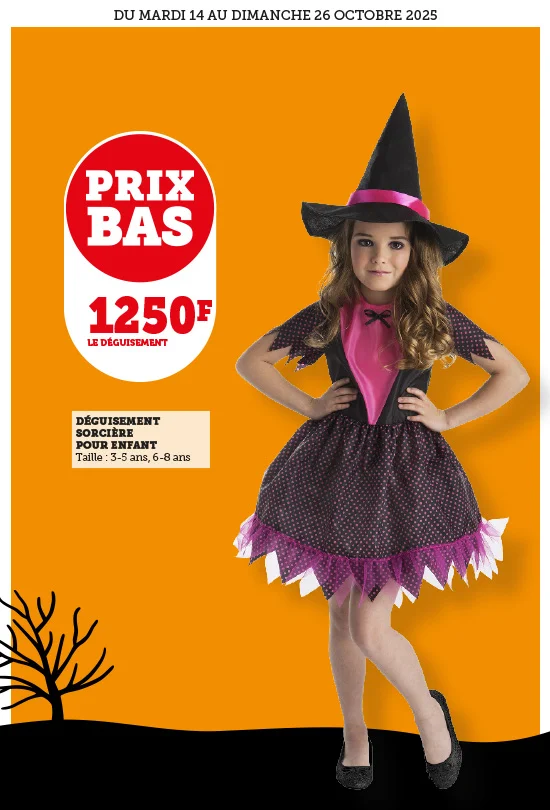 vignette-550-810-8